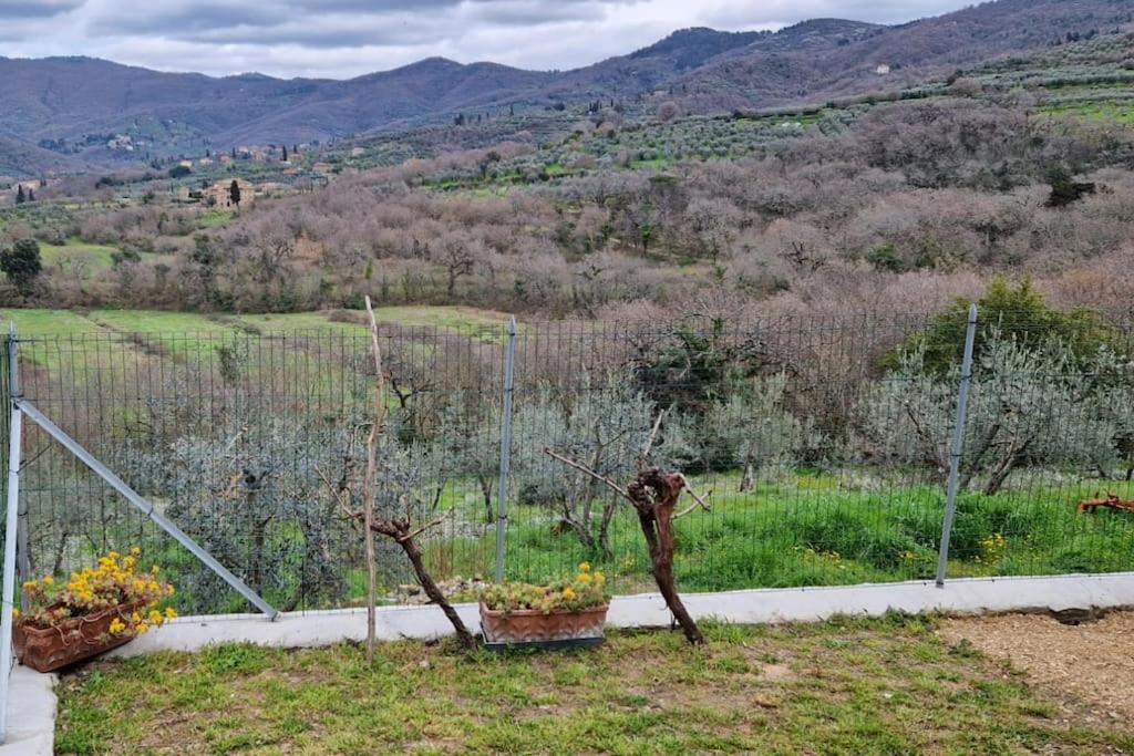 Apartamento Petreto Il Giardino Dei Limoni Castiglion Fiorentino Exterior foto