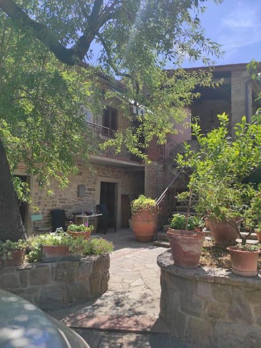 Apartamento Petreto Il Giardino Dei Limoni Castiglion Fiorentino Exterior foto